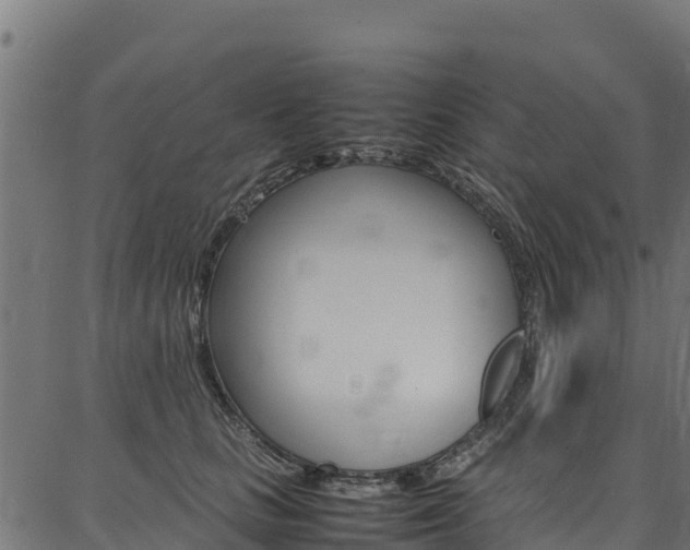 X0000086790661200704130856