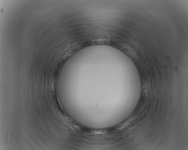 X0000086790662200704130856