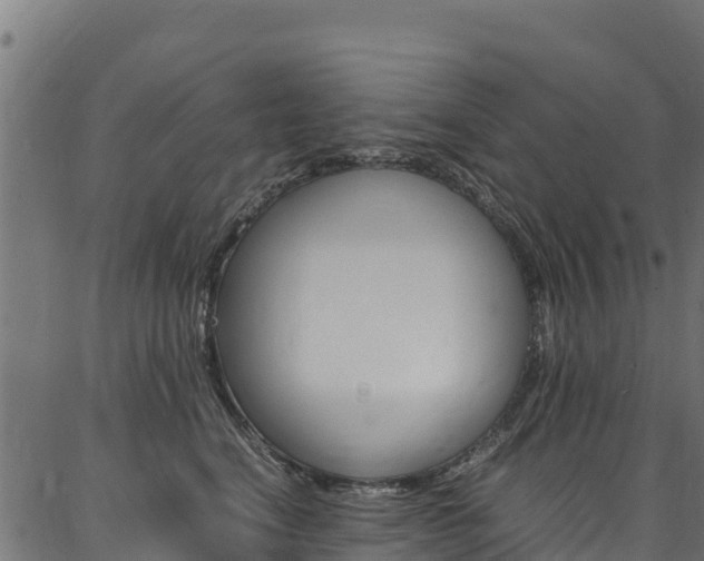 X0000086790664200704130856