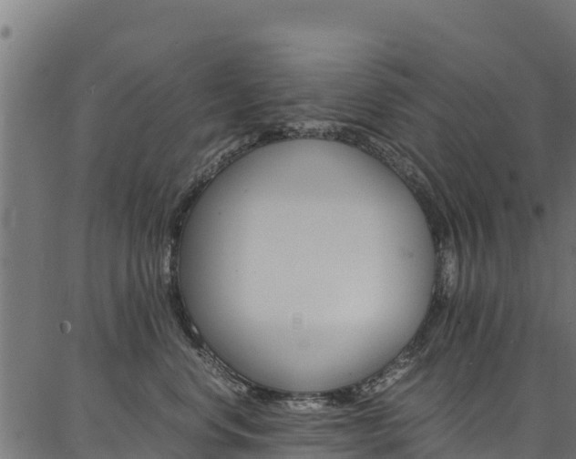 X0000086790668200704130856