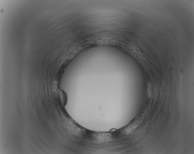 X0000086790670200704130856