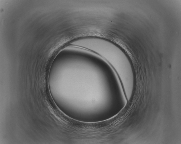 X0000086790677200704130855