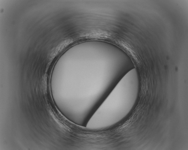 X0000086790678200704130855