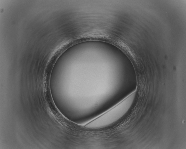 X0000086790680200704130855