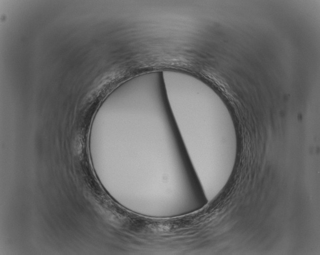 X0000086790687200704130855