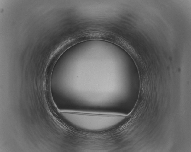 X0000086790722200704130854