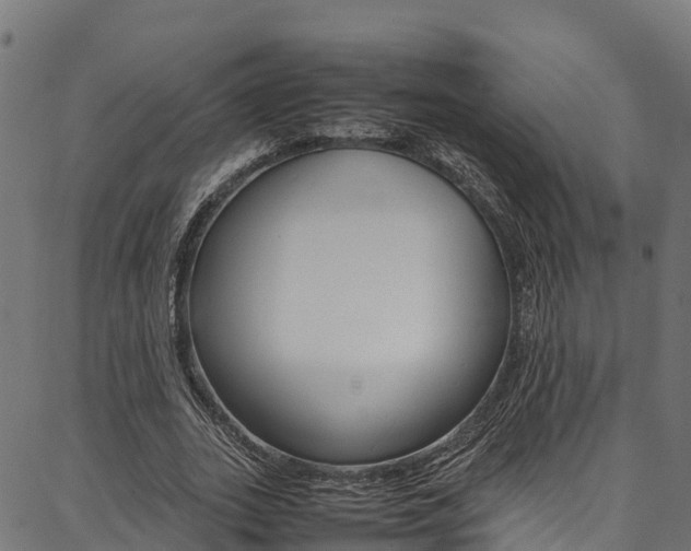 X0000086790727200704130854