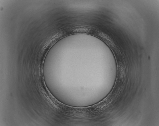 X0000086790729200704130854