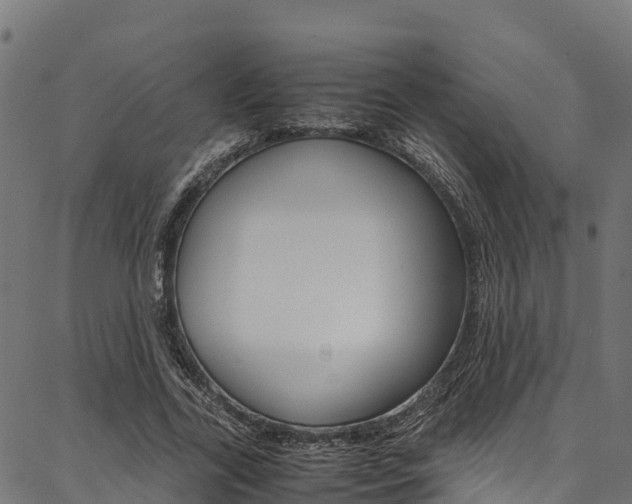 X0000086790731200704130854