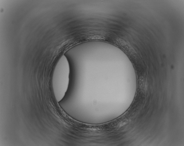 X0000086790741200704130854