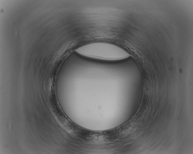 X0000086790742200704130854