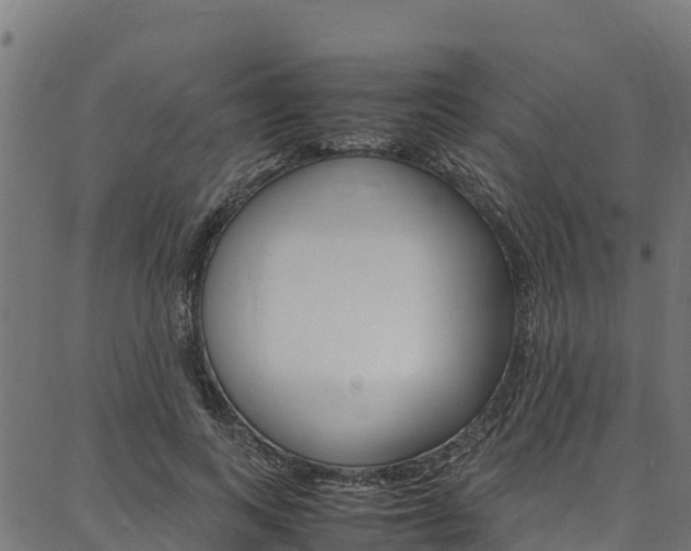 X0000086790743200704130854