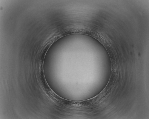 X0000086790744200704130854