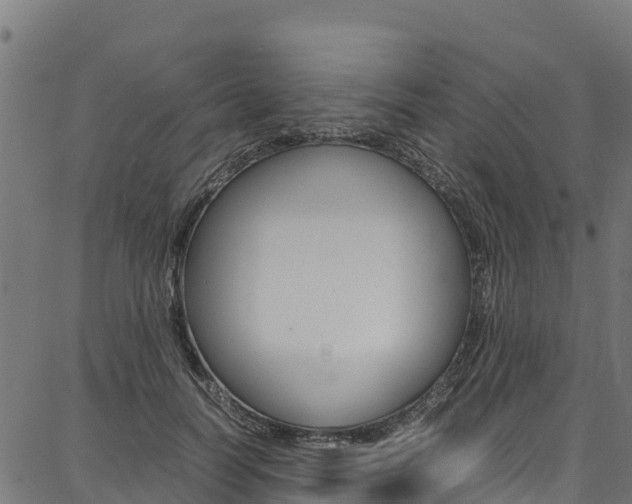 X0000086790746200704130854