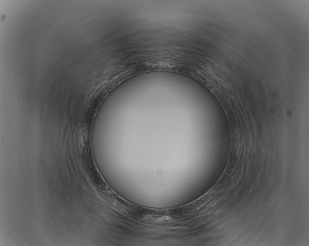 X0000086790747200704130854