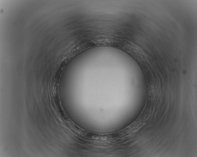 X0000086790751200704130854