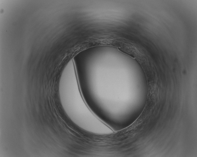 X0000086790752200704130854