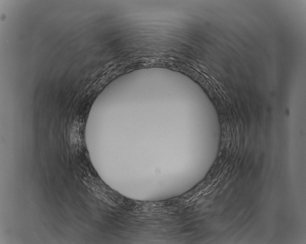 X0000086790770200704130853