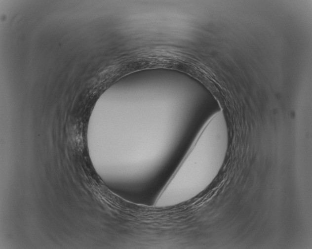 X0000086790771200704130853