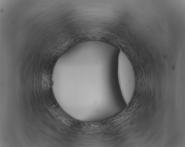 X0000086790772200704130853