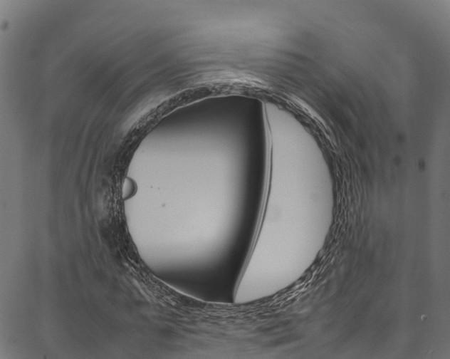X0000086790775200704130853