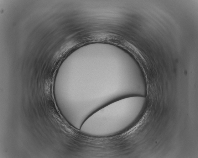 X0000086790778200704130853