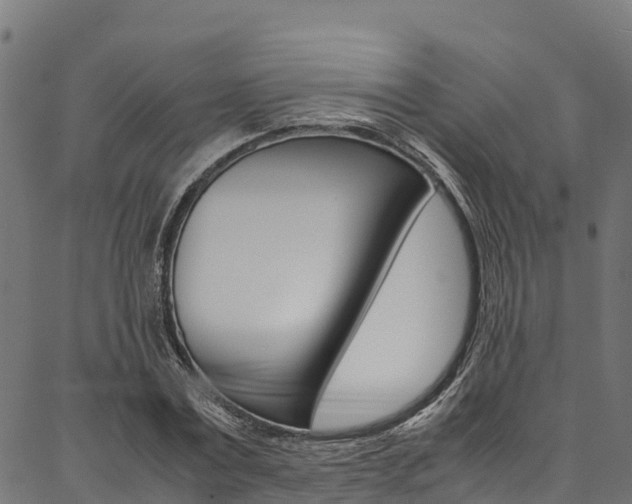 X0000086790779200704130853