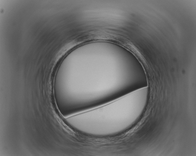 X0000086790787200704130853