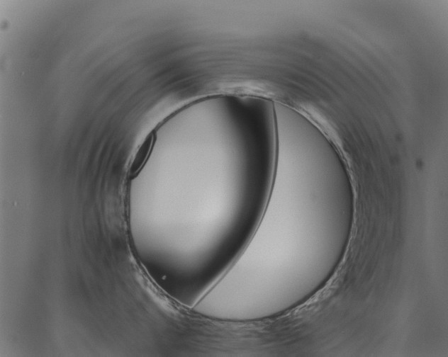 X0000086790816200704130853