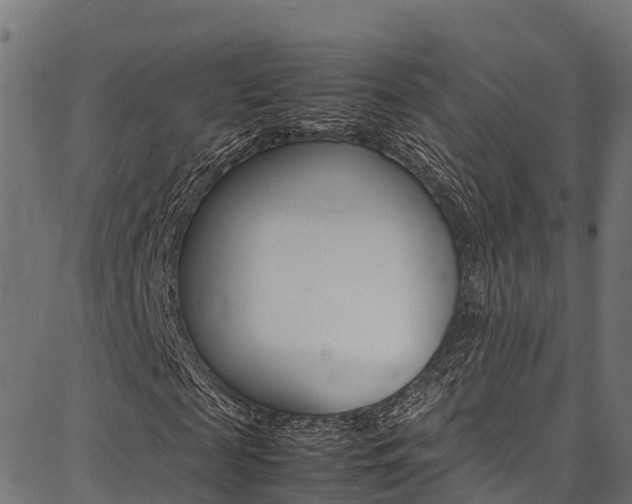 X0000086790817200704130852