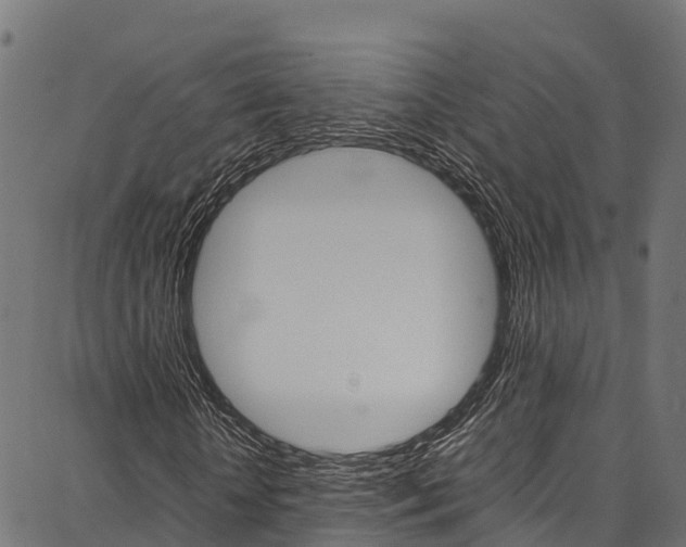 X0000086790818200704130852