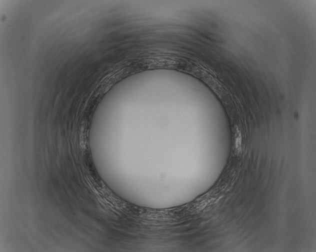 X0000086790819200704130852
