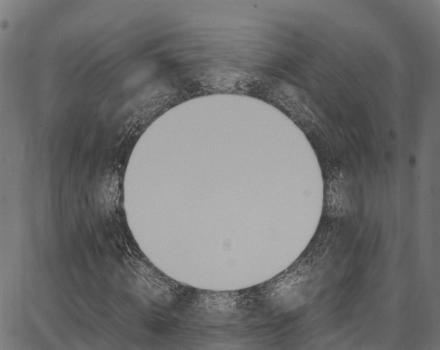 X0000086790820200704130852