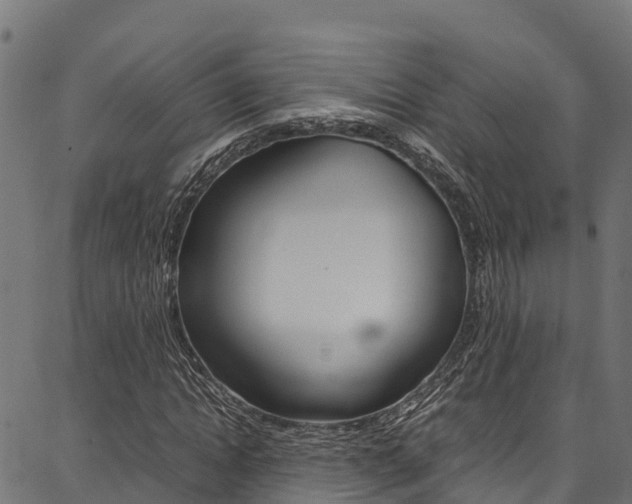 X0000086790822200704130852