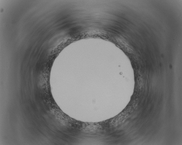X0000086790824200704130852