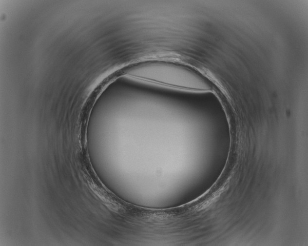 X0000086790830200704130852
