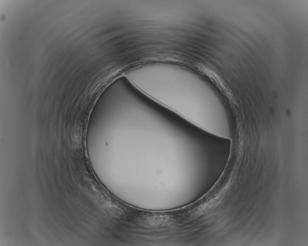 X0000086790833200704130852