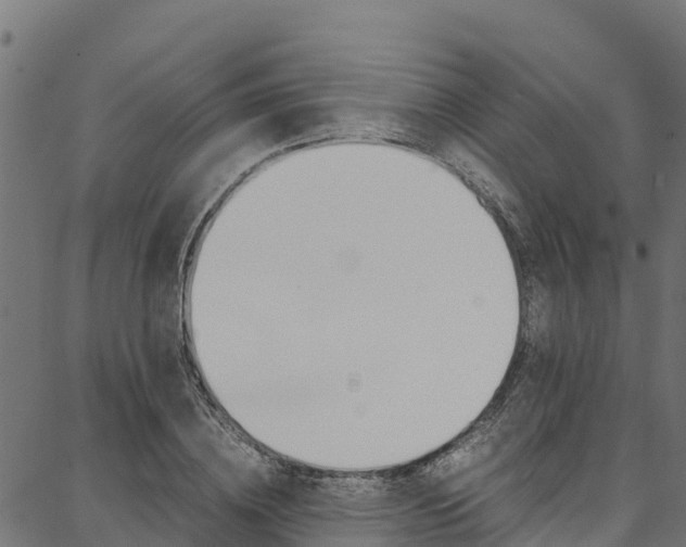 X0000086790836200704130852