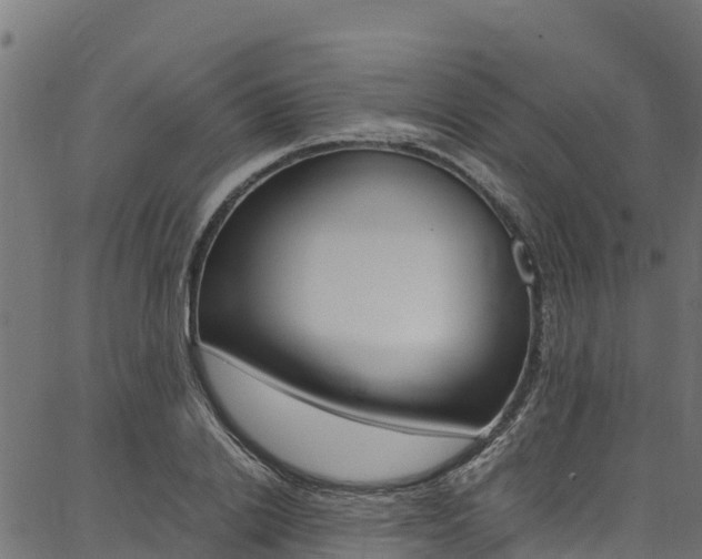 X0000086790838200704130852