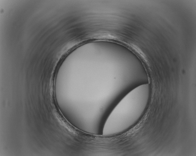 X0000086790840200704130852