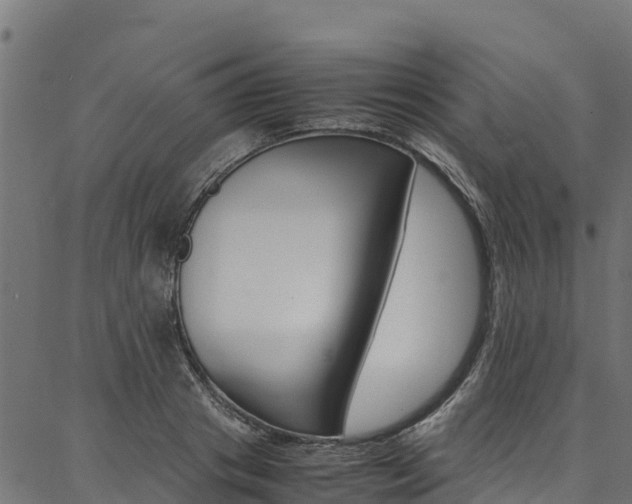 X0000086790841200704130852