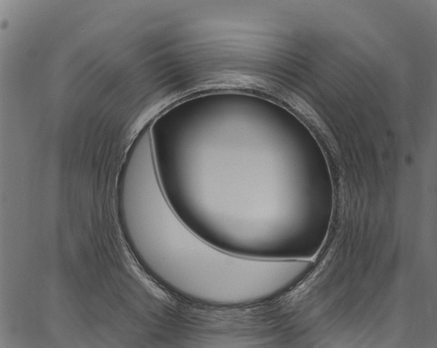 X0000086790842200704130852