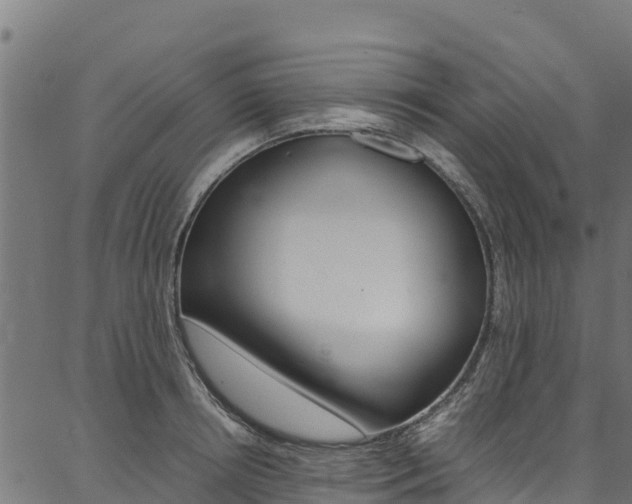 X0000086790850200704130852