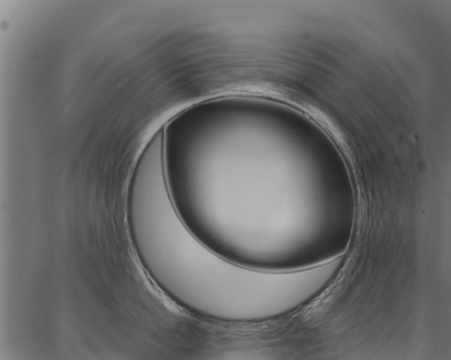 X0000086790862200704130853