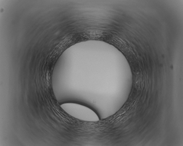 X0000086790866200704130852