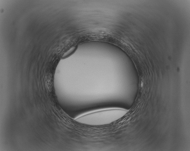 X0000086790867200704130852