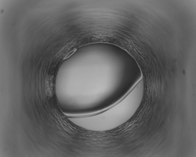X0000086790868200704130852