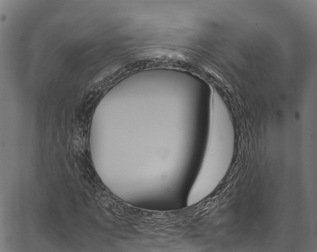 X0000086790869200704130852