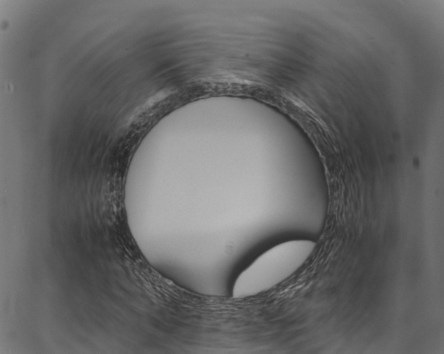 X0000086790870200704130852