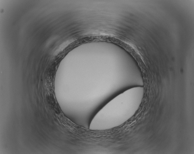 X0000086790871200704130852